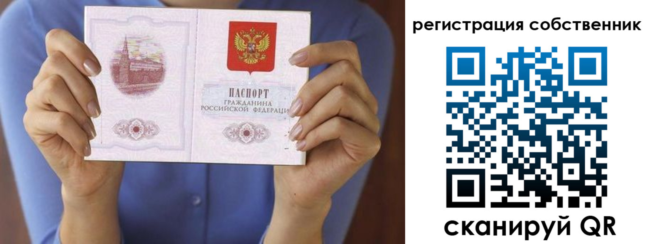 временная регистрация гарантия в Камышине